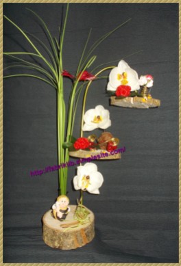 C Orchidée Blanches (1)