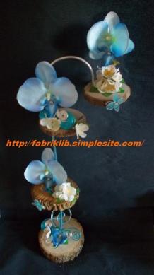 C Orchidée bleu wish (5)